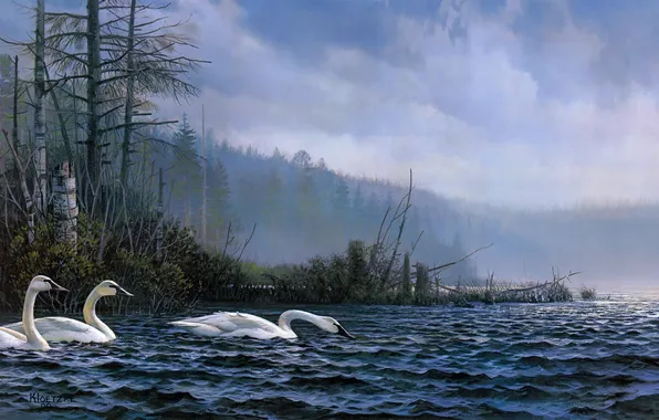 Картинка лес, птицы, природа, туман, озеро, утро, живопись, лебеди