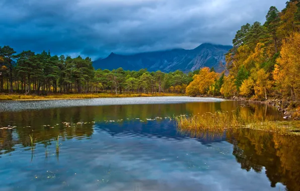 Картинка осень, лес, пейзаж, озеро, Scotland, England, loch Clair