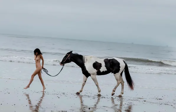 Girl, sexy, legs, boobs, model, nude, brunette, horse