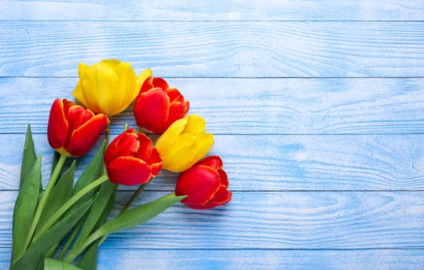 Картинка цветы, желтые, тюльпаны, красные, red, yellow, wood, flowers