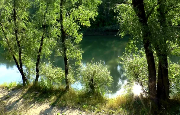 Лес, солнце, лучи, пейзаж, река, фон, forest, river