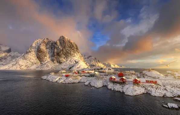 Картинка зима, облака, свет, снег, скалы, чайка, Норвегия, поселение