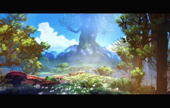 Лес, Forest, Ori, Ори