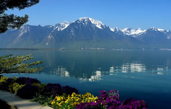 Картинка небо, вода, цветы, горы, озеро, отражение, Швейцария, Женева