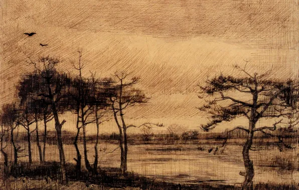 Картинка деревья, птица, Vincent van Gogh, Pine Trees in the Fen