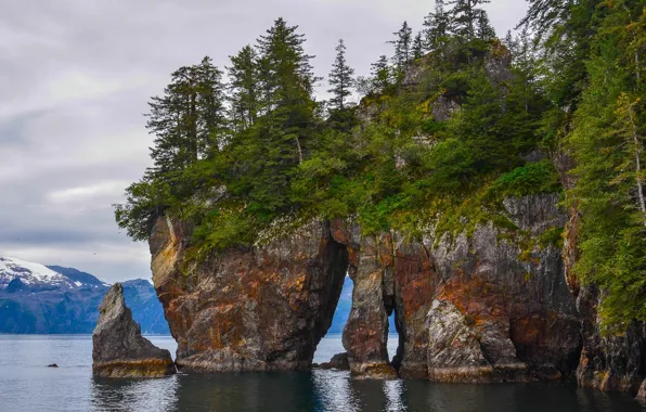 Вода, деревья, скала