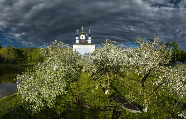 Картинка вода, облака, пейзаж, природа, весна, сад, храм, цветение