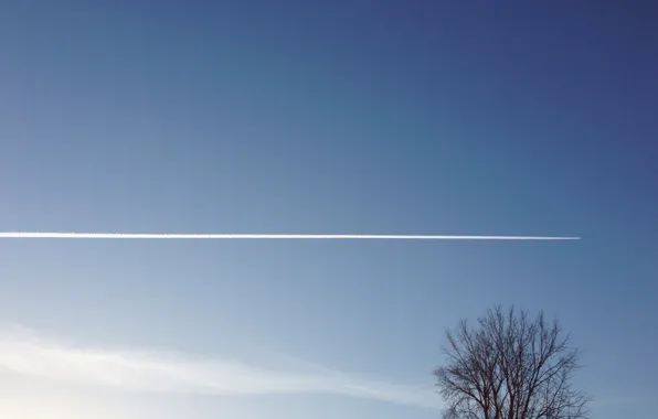 Sky, clouds, tree, plane, trail