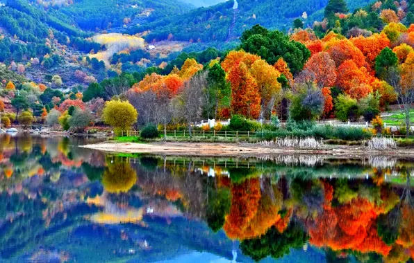 Картинка осень, деревья, горы, озеро, склон