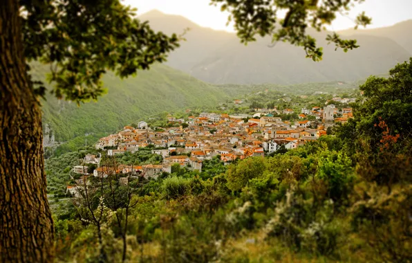 Картинка Природа, Дома, Город, Панорама, Крыши, Nature, Размытость, Panorama