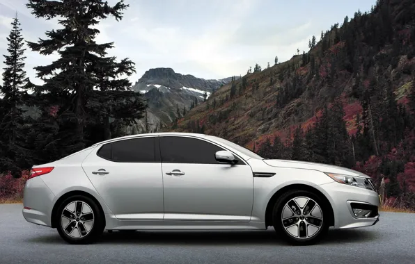 Белая, на природе, KIA Cadenza