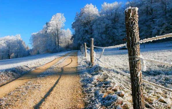 Картинка зима, дорога, лес, небо, снег, деревья, пейзаж, природа