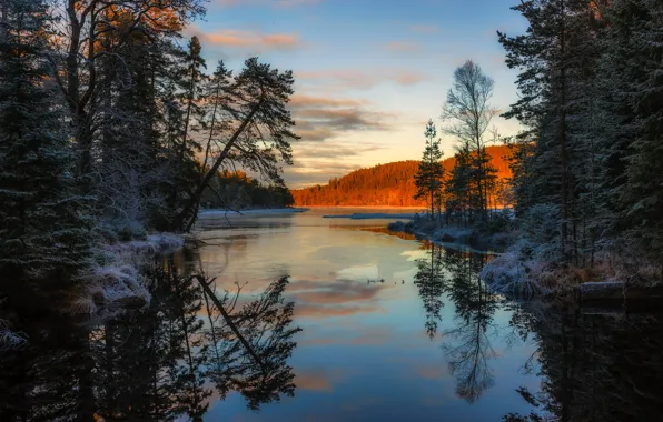 Лес, вода, снег, деревья, закат, отражение, река, вечер