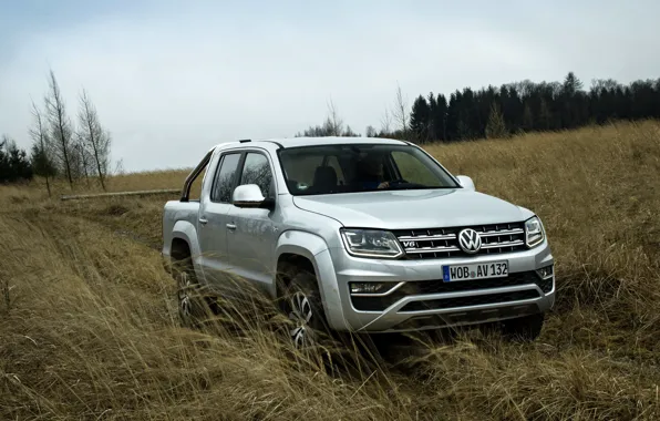 Картинка поле, трава, Volkswagen, пикап, Amarok, Highline, Double Cab, 2016