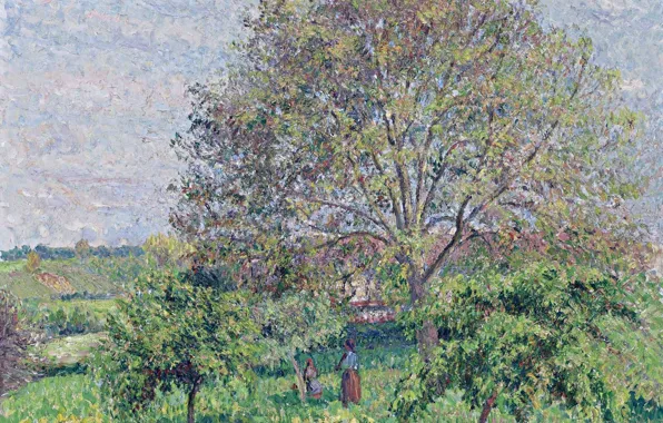 Пейзаж, природа, дерево, картина, Камиль Писсарро, Орех Весной в Эраньи