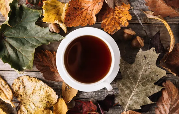 Картинка осень, листья, чай, напиток
