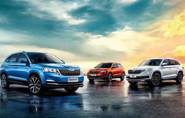 2018, Skoda, Kodiaq, Karoq, Kamiq, крoссовер