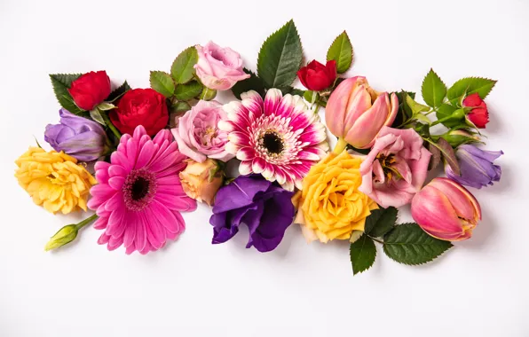 Цветы, colorful, flowers, composition, floral