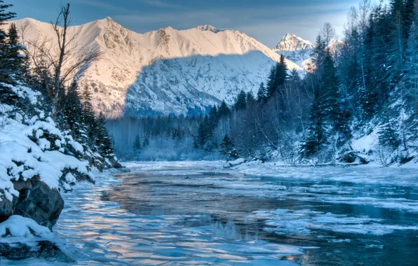 Зима, лес, пейзаж, горы, природа, река, Alaska