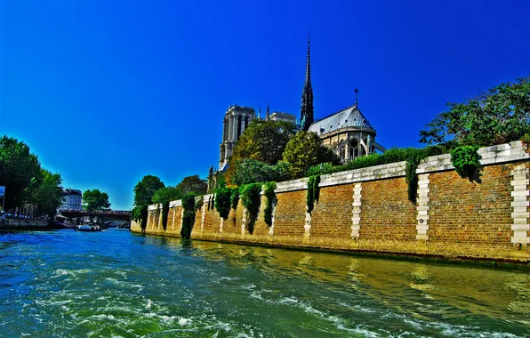 Деревья, мост, река, Франция, Париж, Сена, собор парижской богоматери