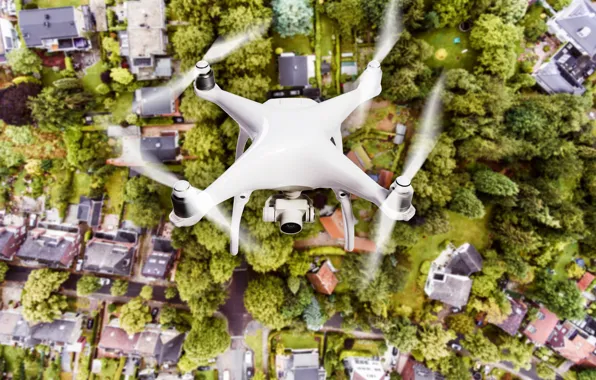 White, trees, drones