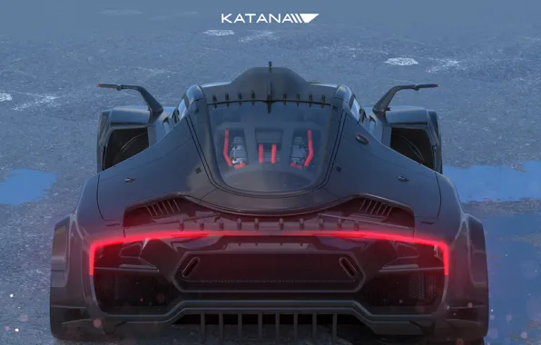 Автомобиль, задок, Katana 1.1, back top