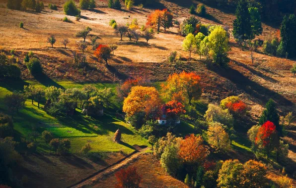 Картинка осень, лес, деревья, горы, природа, хатка