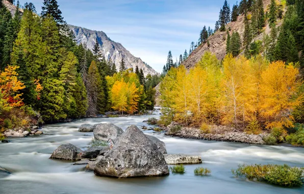 Осень, лес, деревья, горы, река, камни, Washington State, Штат Вашингтон