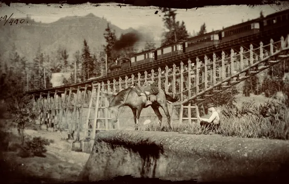 HDR, Wood, Bridge, Mountain, Train, Game, Man, Trees