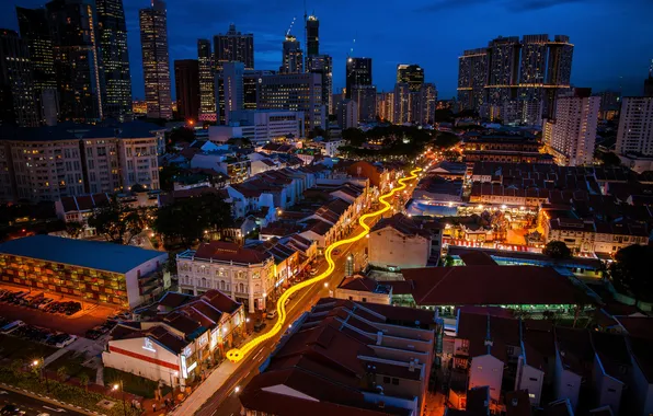 Дорога, ночь, огни, змея, Сингапур, празднование китайского лунного календаря