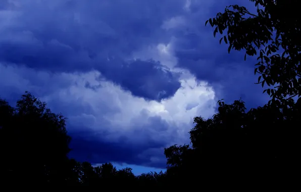 Storm, sky, cloud, tree