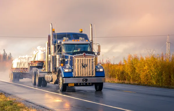 Clouds, Rain, Truck, Trailer, Kenworth, Field, Freight, Zetong Li