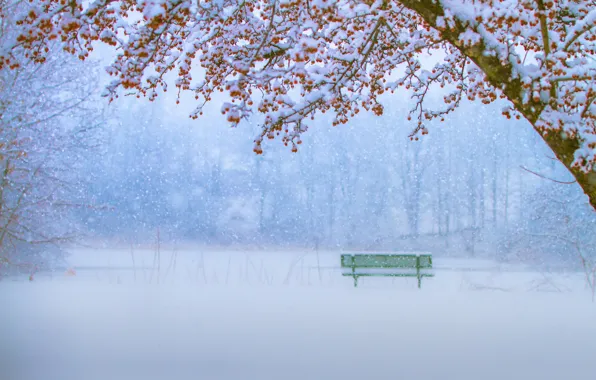 Картинка зима, снег, деревья, скамейка, парк, снегопад