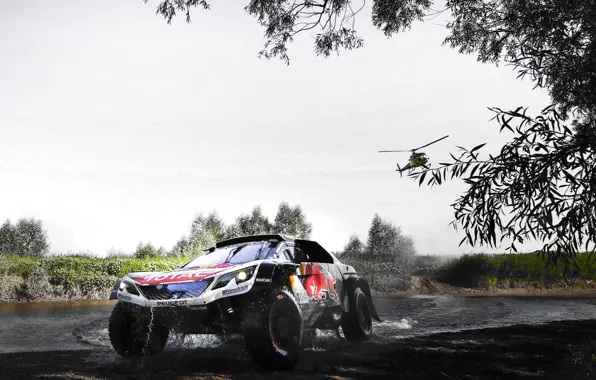 Спорт, Скорость, Вертолет, Гонка, Грязь, Peugeot, Фары, Red Bull
