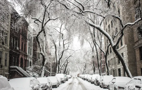 Картинка зима, снег, город, дерево, Улица, сугробы