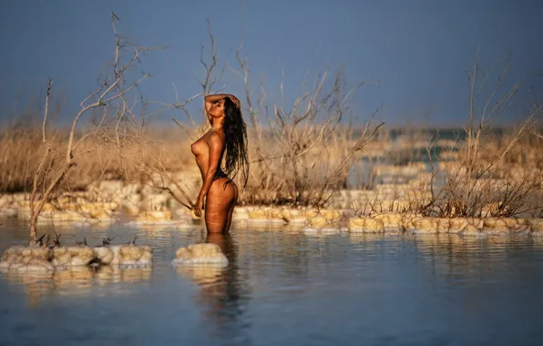 Sexy, ass, boobs, nude, naked, butt, Zachar