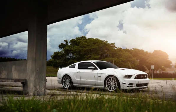 Mustang, Ford, Muscle, Car, Front, Sun, White, CVT