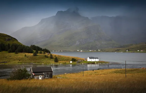 Деревья, горы, туман, скалы, Норвегия, залив, домики, Lofoten