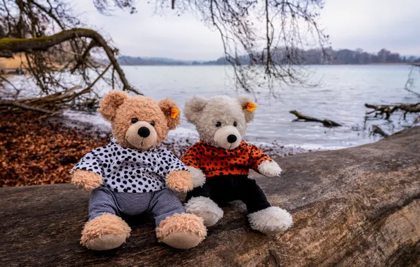 Берег, игрушка, игрушки, медведь, медведи, мишка, медвежонок, бревно