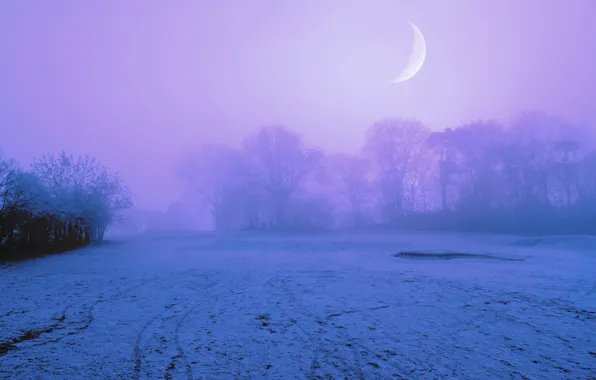 Картинка небо, снег, деревья, ночь, туман, луна, поляна, Зима