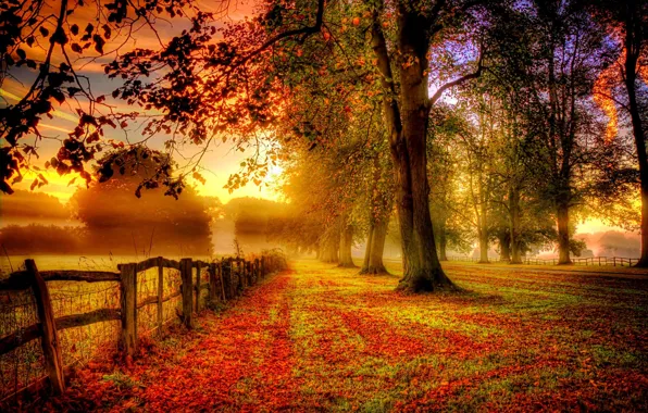 Дорога, осень, листья, деревья, природа, парк, colors, colorful