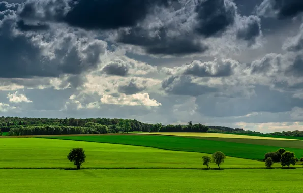 Картинка небо, трава, облака, деревья, зеленый, поля, фермы