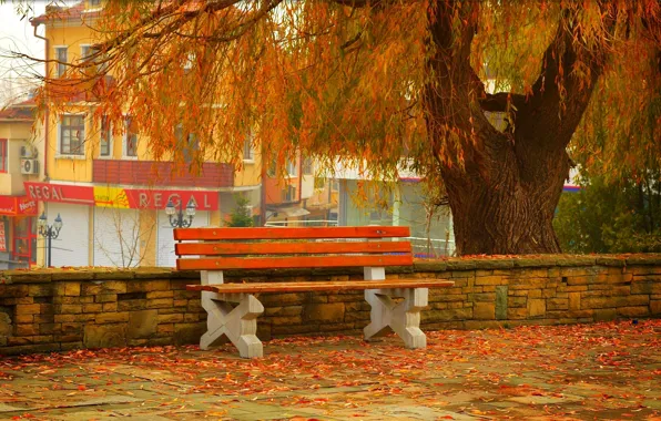 Картинка Осень, Скамейка, Улица, Fall, Листва, Autumn, Street, Colors