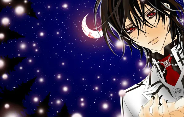 Звезды, ночь, елки, месяц, красные глаза, kuran kaname, звездное небо, vampire knight