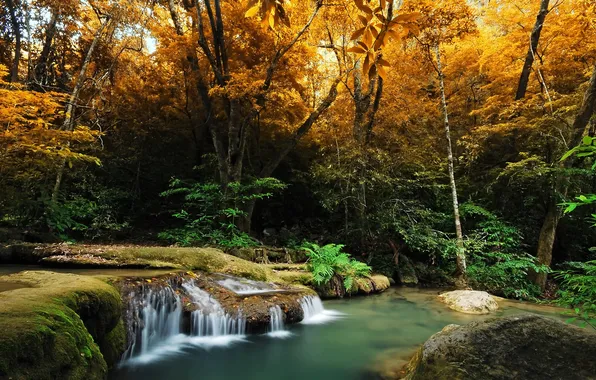 Картинка осень, лес, деревья, ручей, камни, водопад, мох