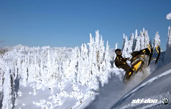 Картинка лес, снег, спорт, sport, mountain, snow, снегоход, summit