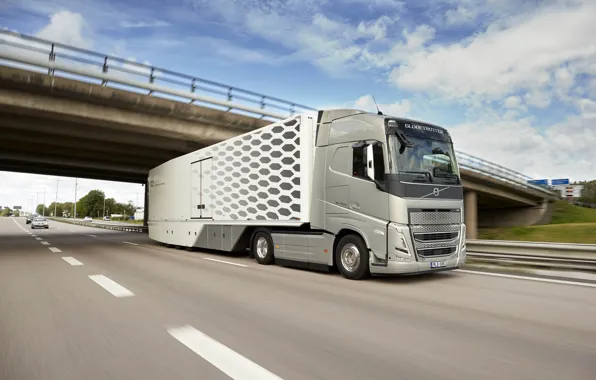Road, overpass, volvo trucks, volvo fh 460