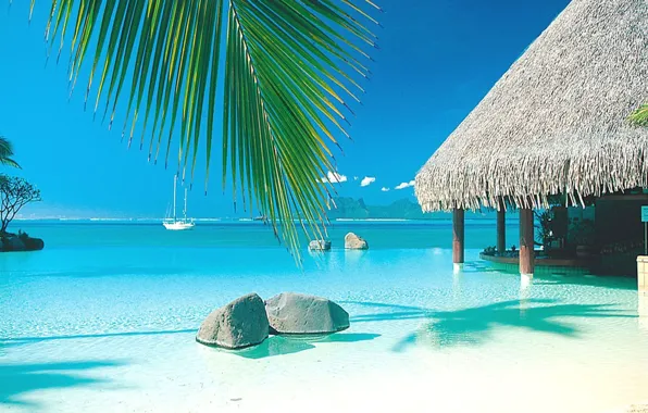 Океан, бассейн, яхта, beach, бунгало, Tahiti, paradise, palm