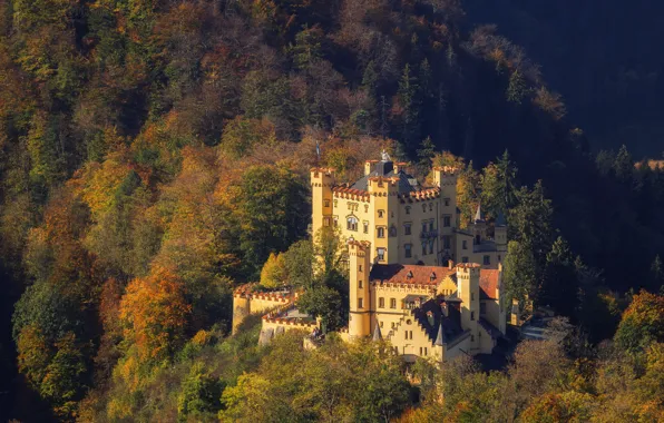 Картинка осень, пейзаж, природа, замок, Германия, Бавария, леса, Хоэншвангау