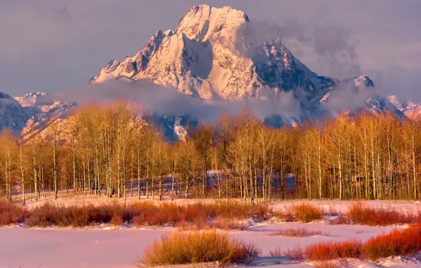 Картинка осень, деревья, горы